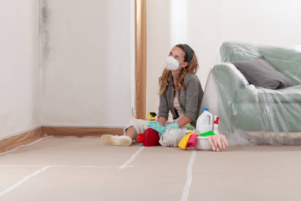 Reliable Mold Cleanup contractor in Chester, NJ by Cheap Mold Removal